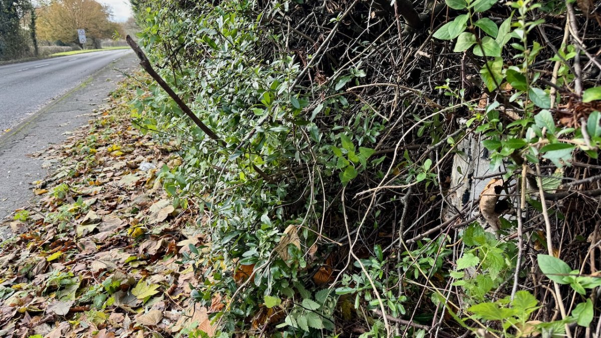 A Hidden 26-Mile River Beneath Greenland's Ice Sheet — A New Discovery