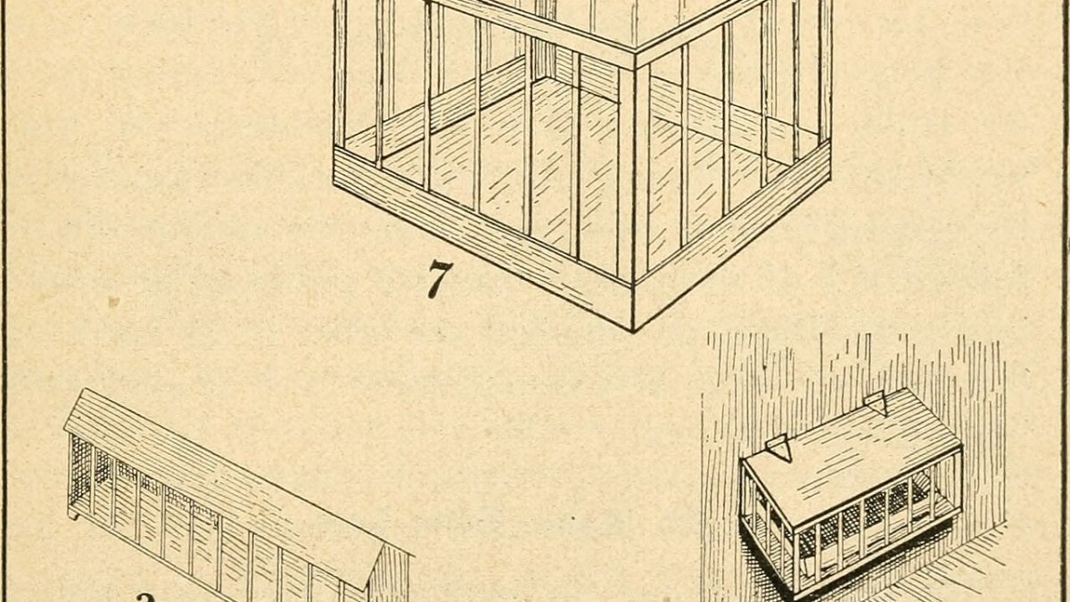 AI Solved the 50-Year-Old Protein Folding Problem, Mapping 200 Million Structures