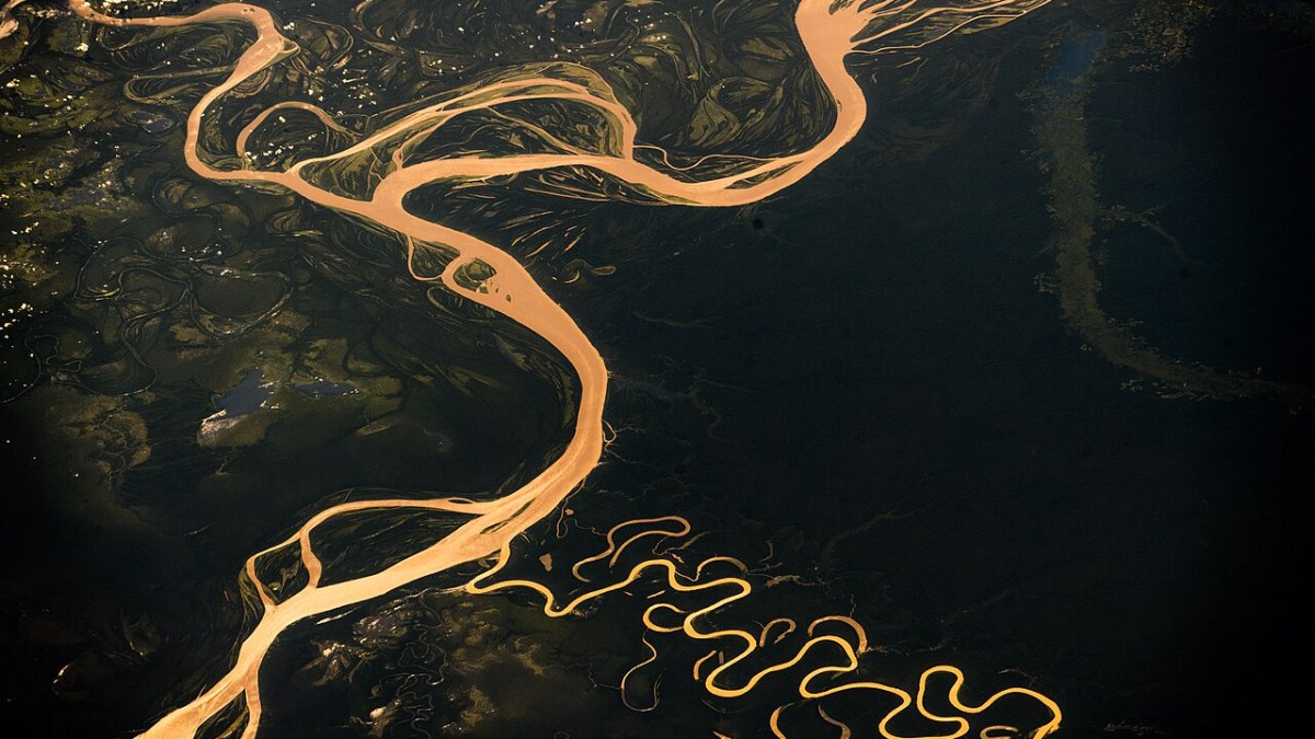 The Amazon River Releases 20% of All Fresh Water That Flows Into Any Ocean