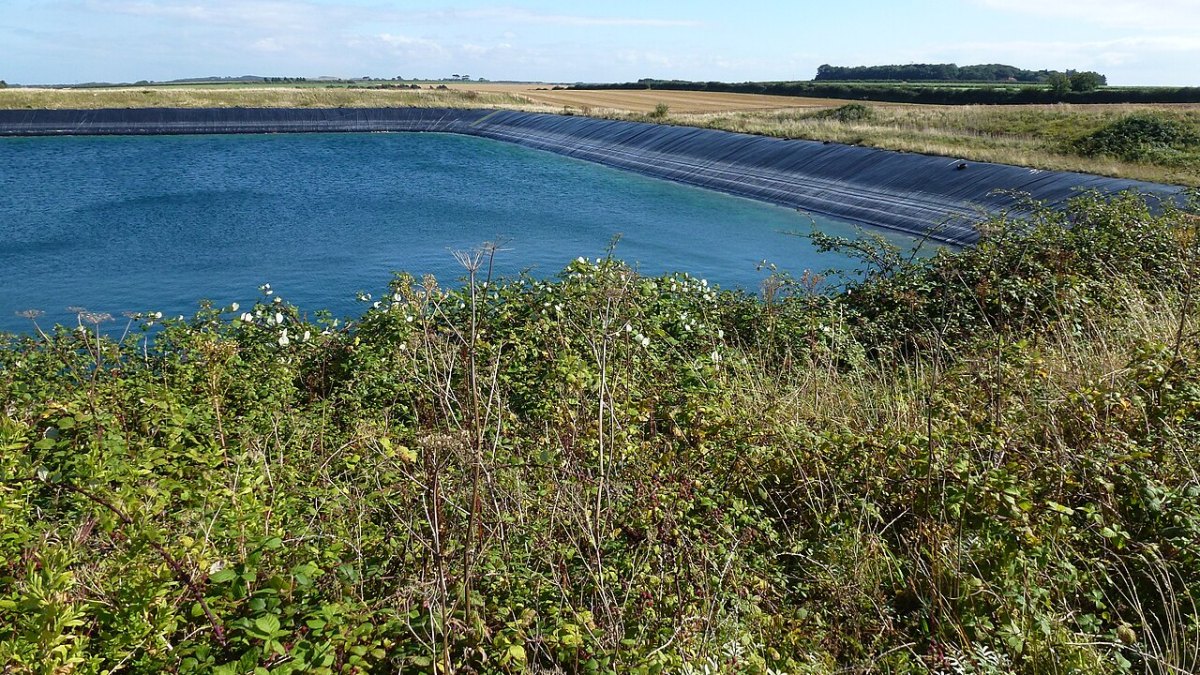 Over 1 Million Objects Lurk in the Asteroid Belt—A Cosmic Treasure Trove