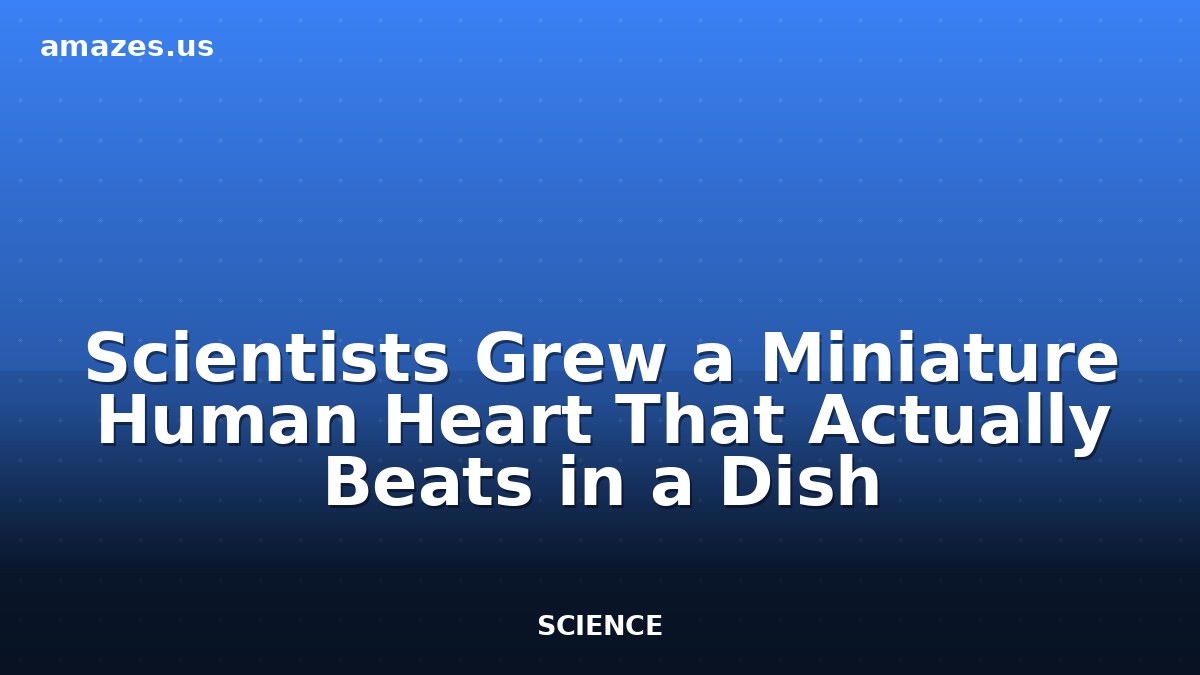Scientists Grew a Miniature Human Heart That Actually Beats in a Dish