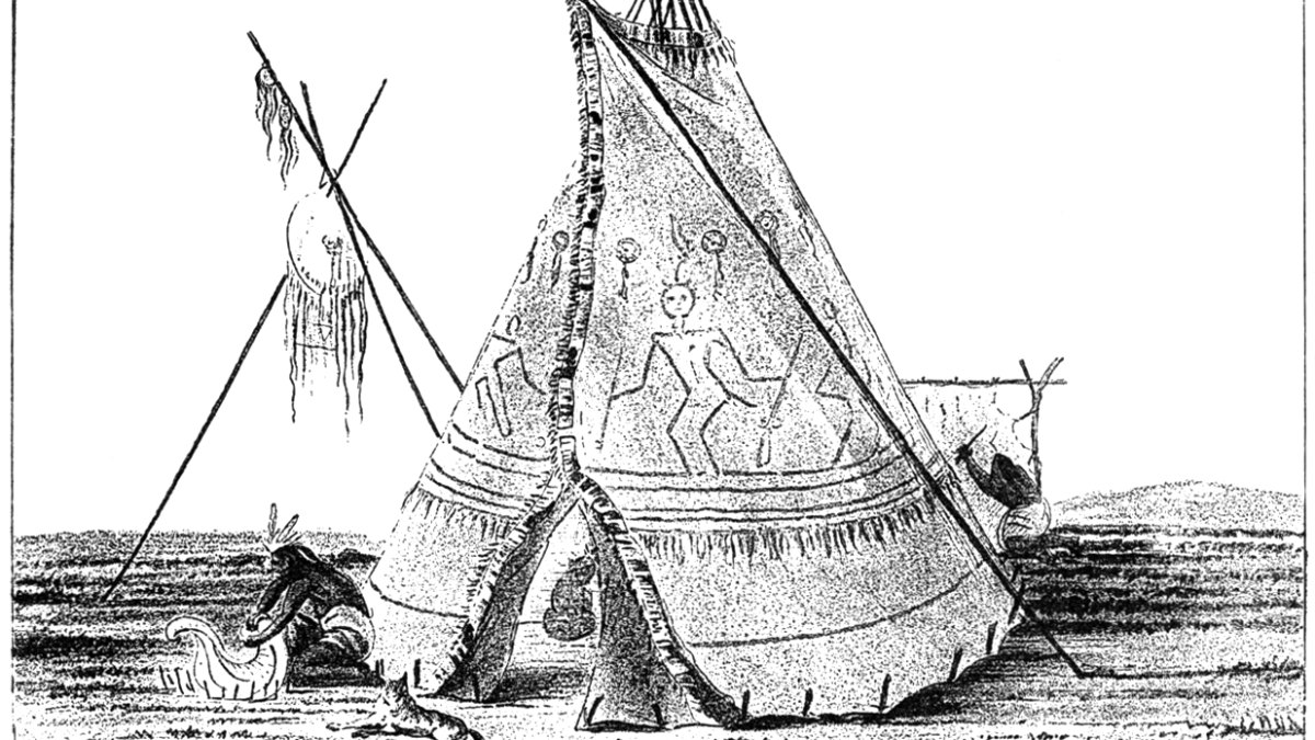 Crows Can Recognize Human Faces and Hold Grudges for Years Against Specific People