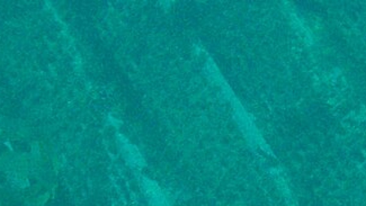 Historic Dive Achieves Unprecedented Depth of 10,902 Meters