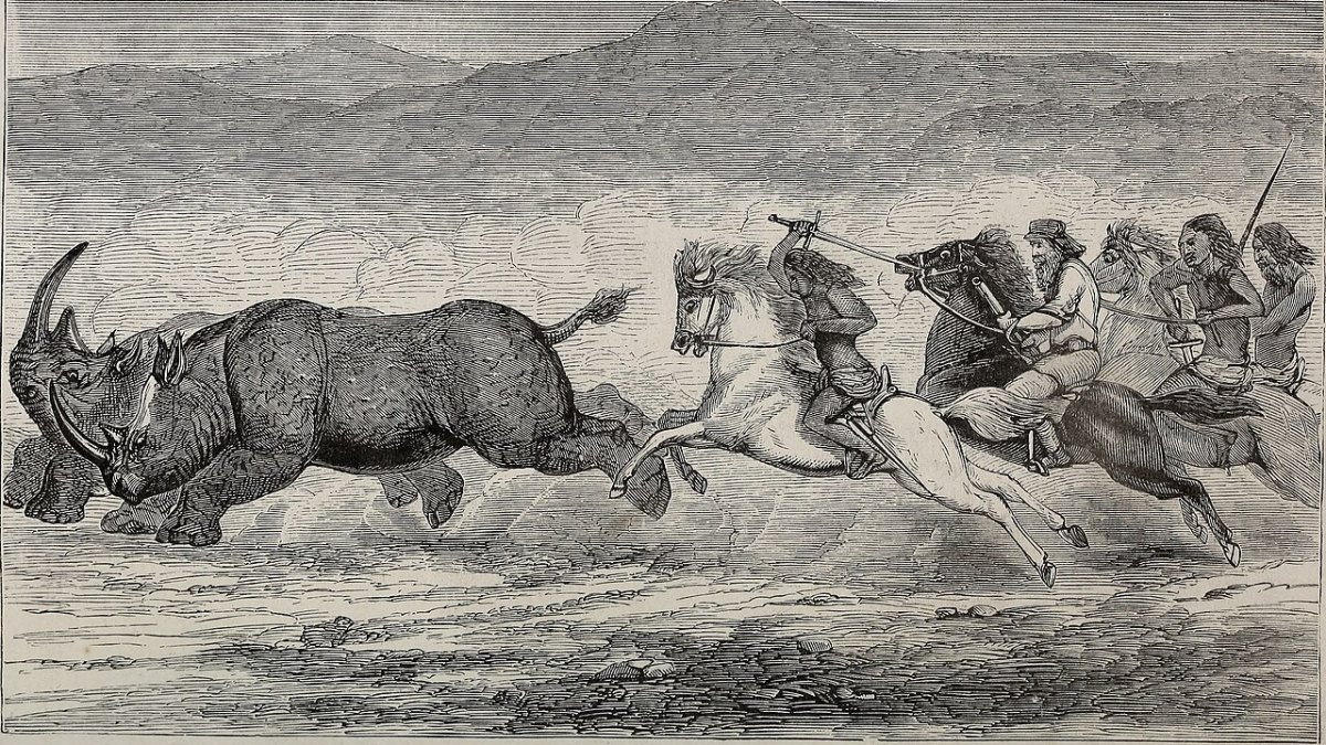 Elephants Outpace Humans: 2% Cancer Rate Thanks to 20 p53 Genes