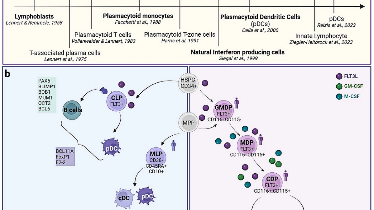 Decoding the Human Genome: 3 Billion Base Pairs Revealed