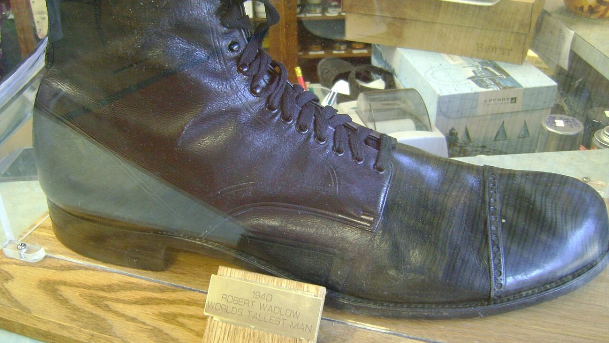 Robert Wadlow: The Astonishing 8-Foot-11-Inch Giant of History