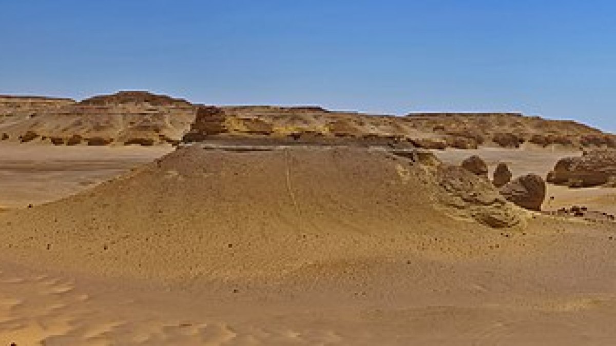 Whale Fossils in the Sahara: Egypt's Valley of the Whales Rewrote Evolution