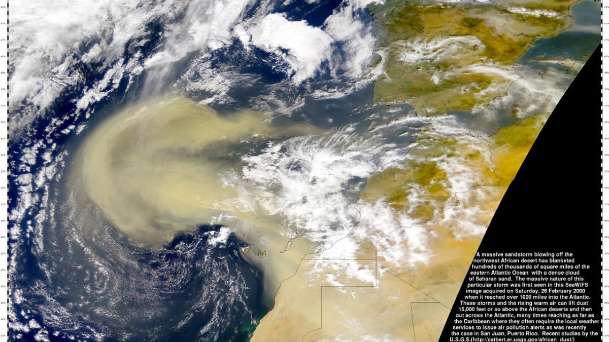 Sahara Sandstorm's Epic 5,000-Mile Journey Across the Atlantic