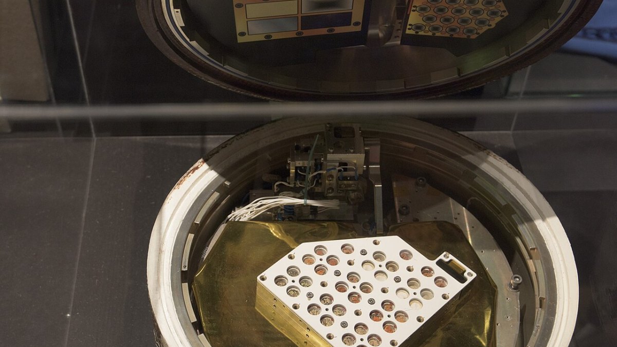 Tardigrades Survived Exposure to the Vacuum of Space and Cosmic Radiation