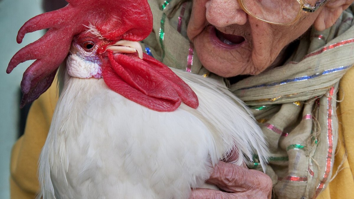 A 15-Year-Old Found a 1,300-Year-Old Viking Treasure Hoard in His Backyard